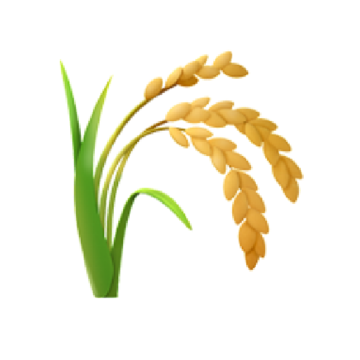 Gluten