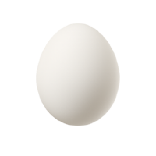 Œufs